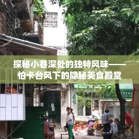 探秘台风下小巷深处的独特美食殿堂——怕卡隐秘美食之旅