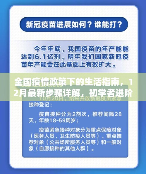 全国疫情政策下的生活指南，初学者进阶手册，最新步骤详解（12月版）