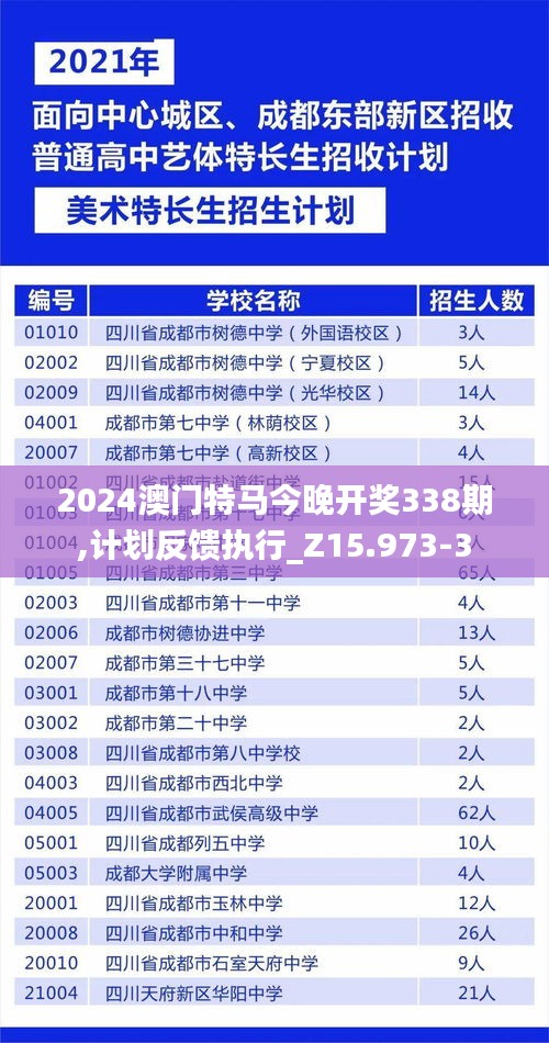 2024澳门特马今晚开奖338期,计划反馈执行_Z15.973-3