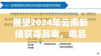 2024年云南新缉获毒品案展望，挑战、治理策略与毒品泛滥的应对