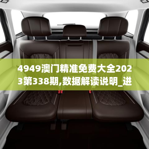 4949澳门精准免费大全2023第338期,数据解读说明_进阶款18.731-2