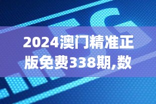 2024澳门精准正版免费338期,数据驱动方案实施_WP版26.132-4