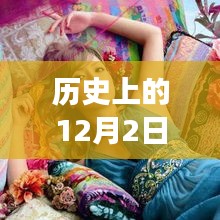 滨崎步的成长之路，历史上的12月2日，初学者与进阶用户的指南