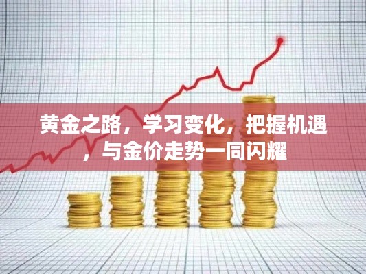 黄金之路，学习变化，把握机遇，共舞金价闪耀之路