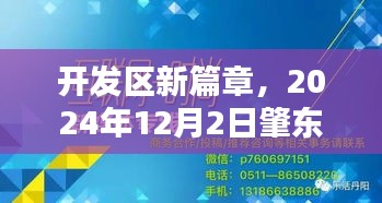 开发区新篇章，肇东求职奇遇与友情绽放记（2024年12月2日）