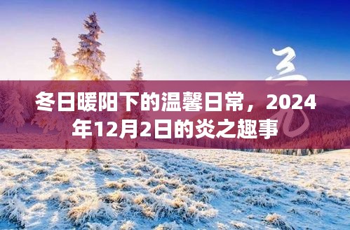 冬日暖阳下的温馨日常，炎之趣事，2024年12月2日