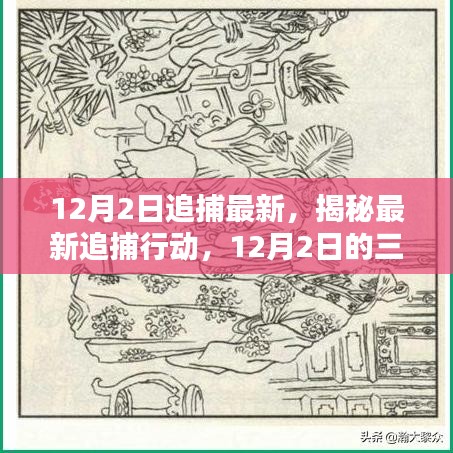 揭秘最新追捕行动，深度解析三大要点及最新进展（12月2日）