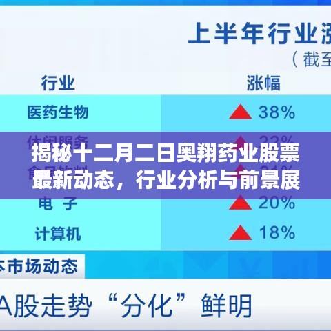 2024年12月3日 第10页