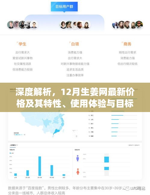 深度解析，12月生姜网最新价格及其特性、使用体验与目标用户群体分析