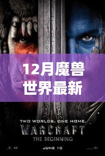 魔兽世界12月最新宣传片深度解析与探讨