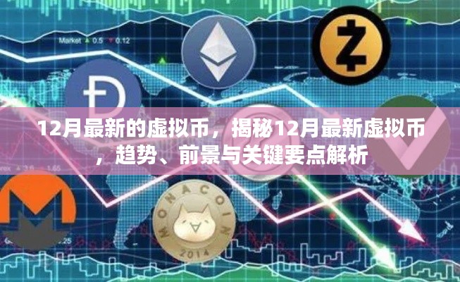 揭秘，12月最新虚拟币趋势、前景及关键要点解析