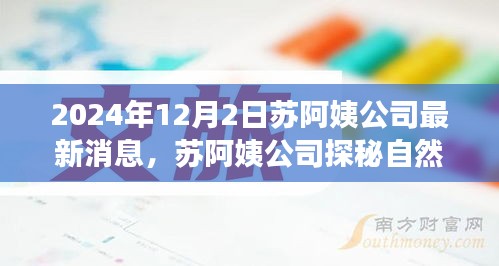 苏阿姨公司年终秘密邀请，探秘自然之旅的独家消息揭秘（2024年）