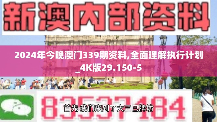 2024年今晚澳门339期资料,全面理解执行计划_4K版29.150-5