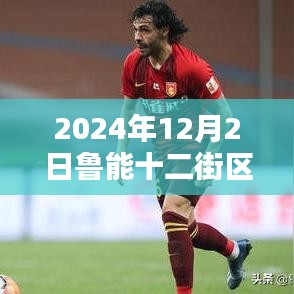 鲁能十二街区，探索未来居住科技新篇章——2024年最新房价与高科技居住体验展望