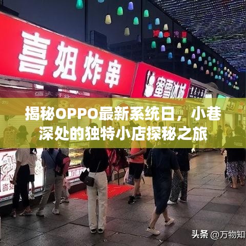 OPPO最新系统日揭秘，小巷深处独特小店的探秘之旅