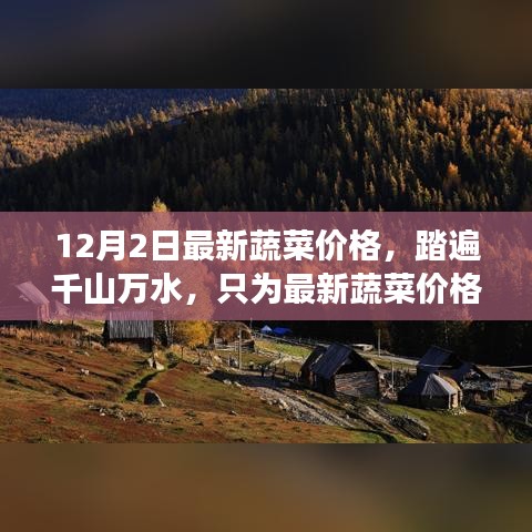 12月2日最新蔬菜价格，踏遍千山万水，只为最新蔬菜价格下的心灵之旅