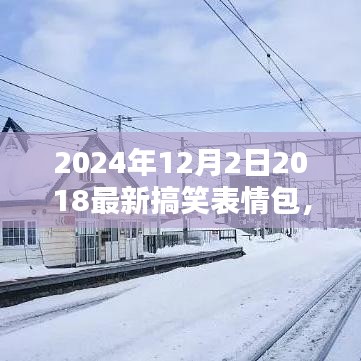 2024年搞笑表情包，冬日奇缘中的家庭欢乐纽带与搞笑瞬间