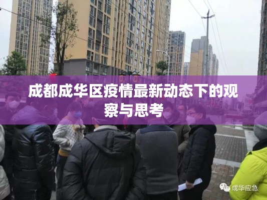 成都成华区疫情最新动态观察与反思