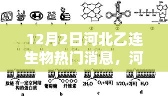 河北乙连生物在特定领域的深远影响与地位揭秘，最新消息与重大进展，12月2日重磅发布