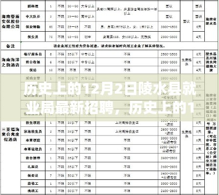 历史上的12月2日陵水县就业局最新招聘全攻略，教你如何成功应聘的秘诀