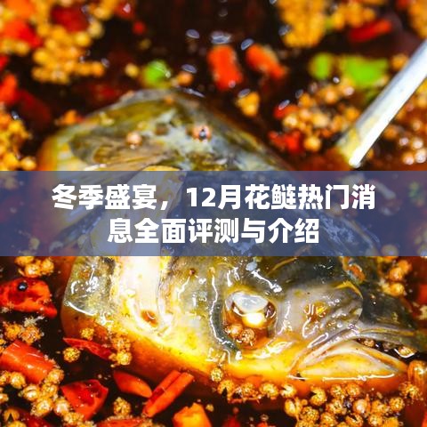 冬季盛宴，全面评测与介绍花鲢热门消息，12月不容错过！