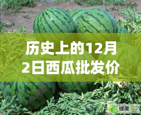 历史上的12月2日西瓜批发价格揭秘，变迁中的励志故事与最新行情