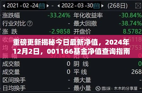 重磅更新，今日最新净值揭秘，001166基金净值查询指南（2024年12月2日）