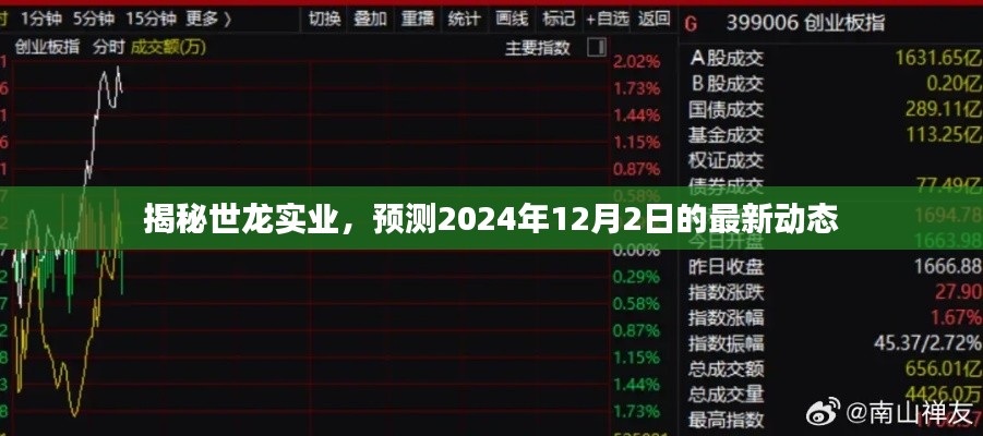 世龙实业深度解析，预测未来动态及展望 2024年展望报告