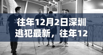 往年12月2日深圳逃犯最新动态深度解析与案例分析回顾