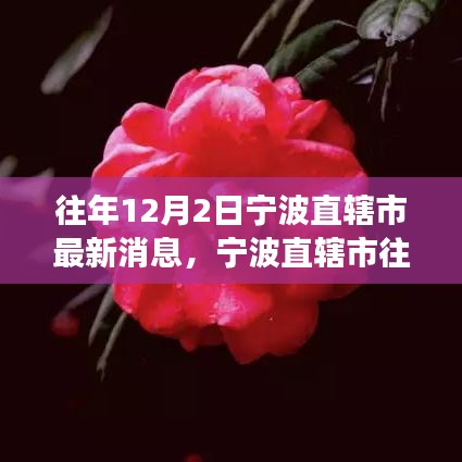 历年12月2日宁波直辖市消息回顾与展望，往事影响与最新动态