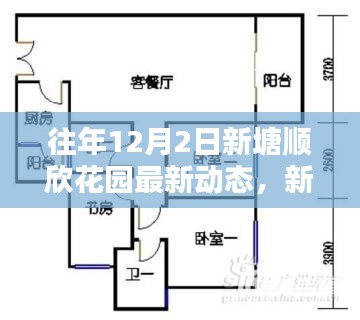 新塘顺欣花园十二月二日最新动态回顾与探寻新篇章