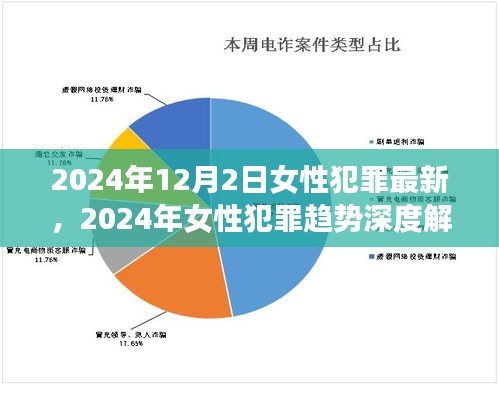 2024年女性犯罪趋势深度解析，最新数据与预测