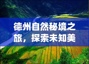 德州自然秘境之旅，探寻未知美景，心灵宁静之旅（最新新闻预热）