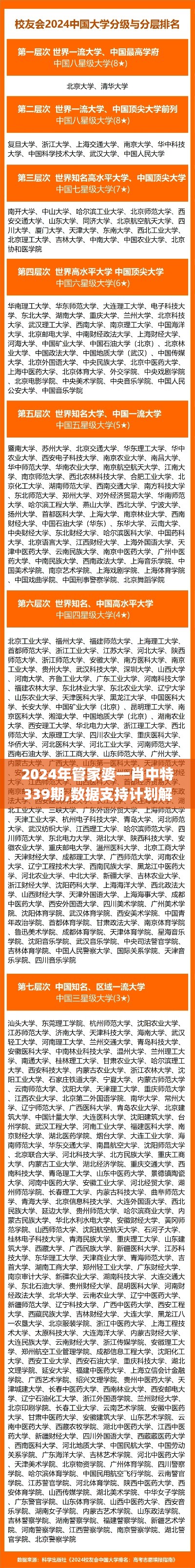 2024年管家婆一肖中特339期,数据支持计划解析_9DM89.985-4