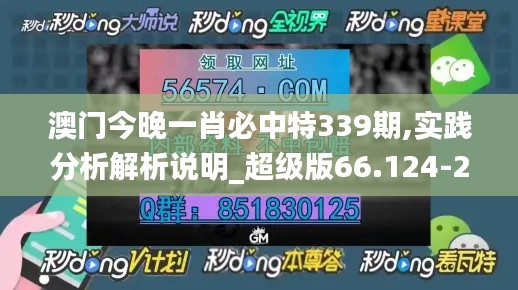 澳门今晚一肖必中特339期,实践分析解析说明_超级版66.124-2