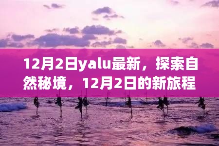 探索自然秘境，寻找内心的宁静与平和——最新旅程始于12月2日