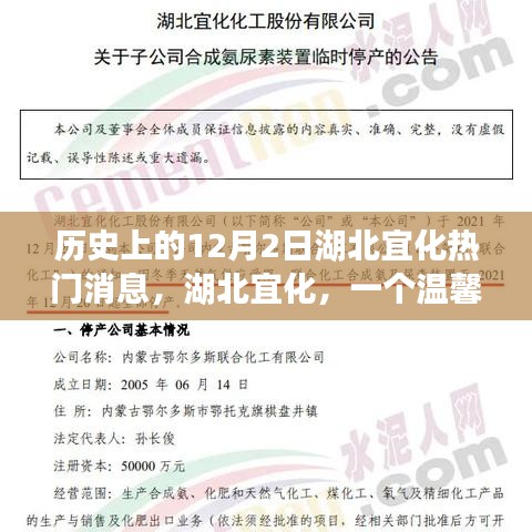 湖北宜化，十二月里的温馨故事，历史热门消息绽放