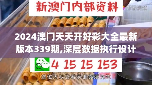 2024澳门天天开好彩大全最新版本339期,深层数据执行设计_8DM77.667-8