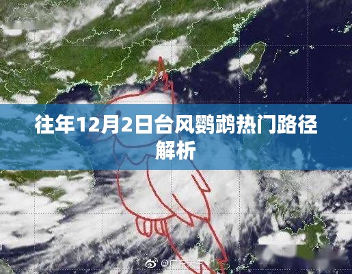 台风鹦鹉热门路径解析，历年12月2日趋势观察