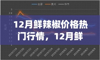 揭秘鲜辣椒行情背后的故事，机遇与挑战并存的自我超越之旅（12月行情分析）