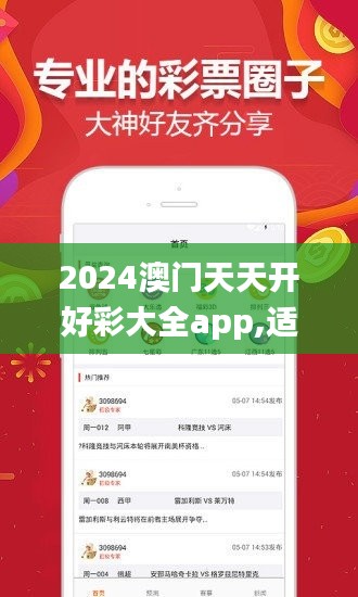 2024澳门天天开好彩大全app,适用计划解析方案_DP6.951-4