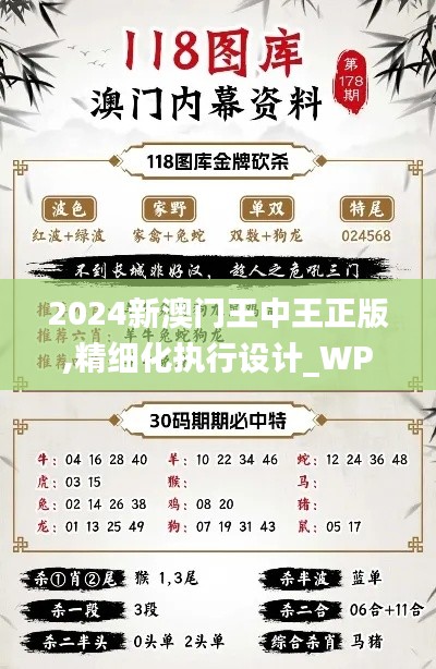 2024新澳门王中王正版,精细化执行设计_WP19.604-8