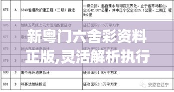 新粤门六舍彩资料正版,灵活解析执行_4DM57.557-8