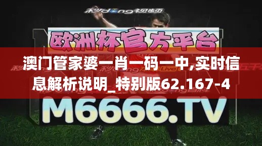 澳门管家婆一肖一码一中,实时信息解析说明_特别版62.167-4