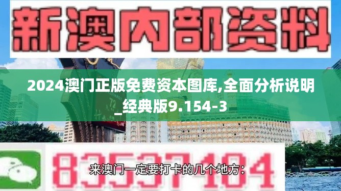 2024澳门正版免费资本图库,全面分析说明_经典版9.154-3