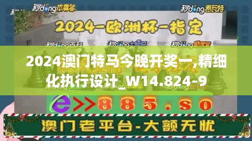 2024澳门特马今晚开奖一,精细化执行设计_W14.824-9