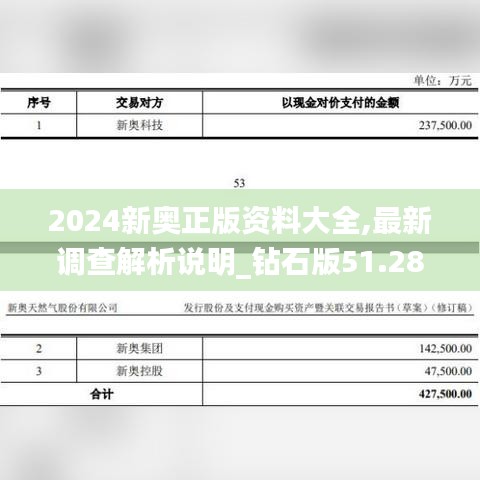 2024新奥正版资料大全,最新调查解析说明_钻石版51.282