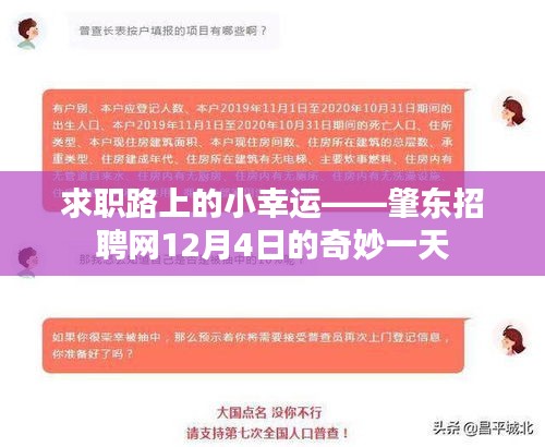 求职路上的幸运之旅，肇东招聘网12月4日纪实