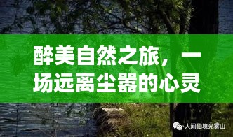 醉美自然之旅，心灵探险与酒话背后的故事