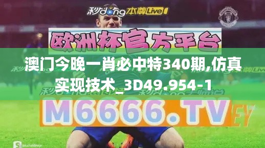 澳门今晚一肖必中特340期,仿真实现技术_3D49.954-1